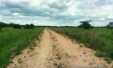 FINCA GANADERA EN VENTA, PUERTO GAITAN META