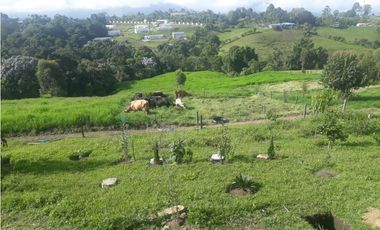 Lote for Venta price: 1000000000