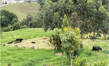 Lote for Venta price: 1000000000