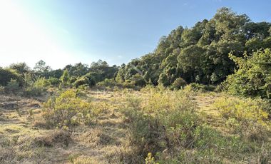 Rancho en Venta