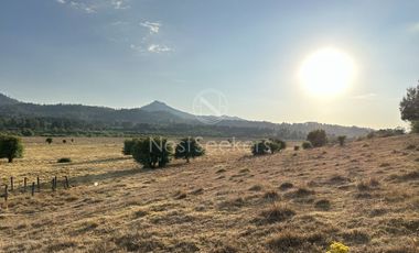 Rancho en Venta