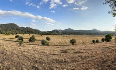Rancho en Venta