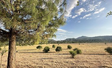 Rancho en Venta
