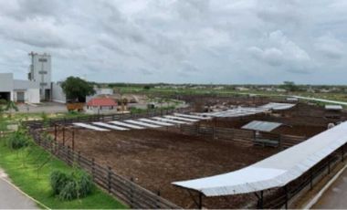 Rancho integral en venta con planta de alimentos y equipamiento de primera