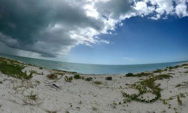 Terreno(831) en Venta en Celestún