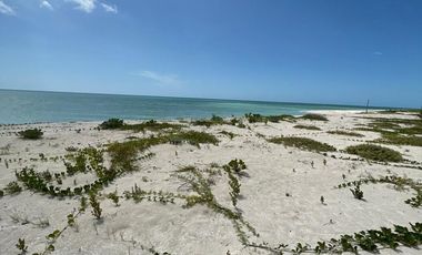 Terreno(831) en Venta en Celestún