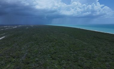 Terreno(831) en Venta en Celestún