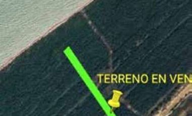 Terreno(831) en Venta en Celestún