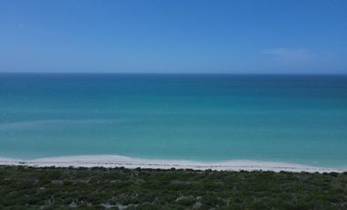 Terreno(831) en Venta en Celestún