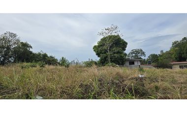Se Alquila Terreno de 1,755m2 en Betania, Urb. El Avance