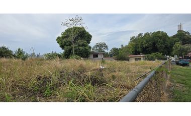 Se Alquila Terreno de 1,755m2 en Betania, Urb. El Avance