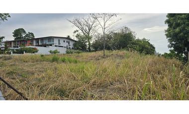 Se Alquila Terreno de 1,755m2 en Betania, Urb. El Avance