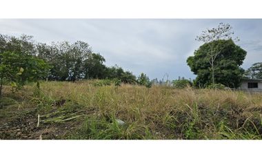 Se Alquila Terreno de 1,755m2 en Betania, Urb. El Avance
