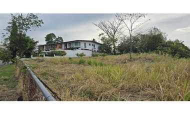 Se Alquila Terreno de 1,755m2 en Betania, Urb. El Avance