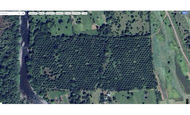 SE VENDE 9.6 HECTAREAS EN GUALACA