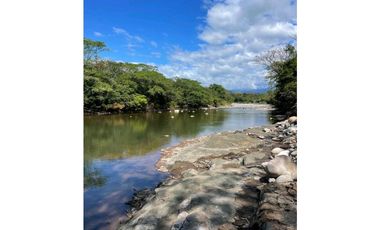 SE VENDE 9.6 HECTAREAS EN GUALACA