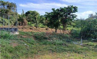 VENDO TERRENO EN LA CHORRERA EL NAZARENO 1000M2