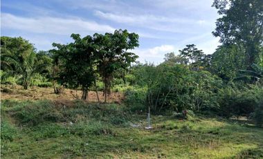 VENDO TERRENO EN LA CHORRERA EL NAZARENO 1000M2