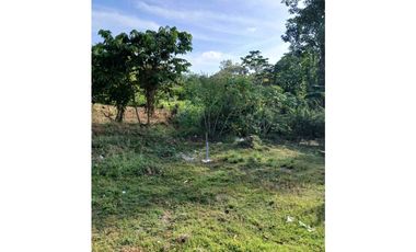 VENDO TERRENO EN LA CHORRERA EL NAZARENO 1000M2