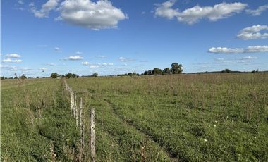 Campo  de 79 Has mixto en Ranchos.