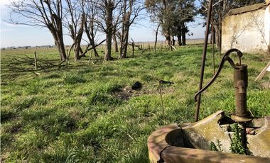 Campo  de 79 Has mixto en Ranchos.