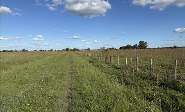 Campo  de 79 Has mixto en Ranchos.