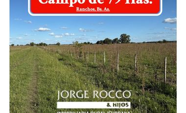 Campo  de 79 Has mixto en Ranchos.