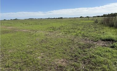 Campo  de 79 Has mixto en Ranchos.