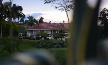 Finca Venta Vía Armenia