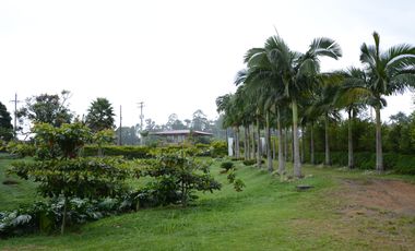 Finca Venta Vía Armenia