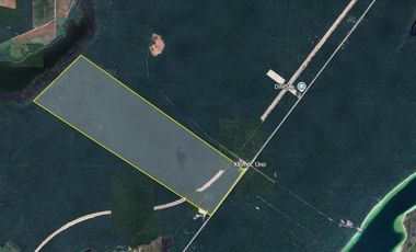 Venta Terreno de 318 ha Frente a Laguna San Felipe – Ideal para Desarrollo Eco-Turístico en Bacalar