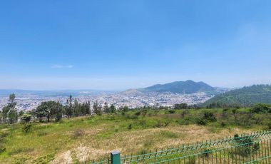 Departamento en  RENTA VISTAS PANORÁMA