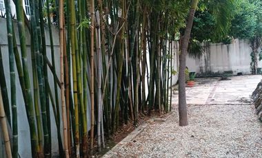 RENTA DEPARTAMENTO EN CANCÚN, SM 15