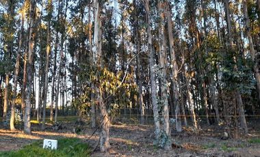 Parcela en Venta en Condominio Costa Quilen - Horcón