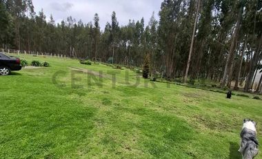 En Venta Terrenos de 5000m2 en la Entrada a Lasso entre Latacunga y Machachi