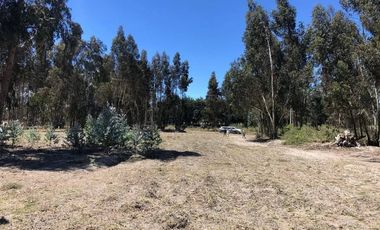 En Venta Terrenos de 5000m2 en la Entrada a Lasso entre Latacunga y Machachi