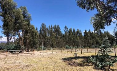 En Venta Terrenos de 5000m2 en la Entrada a Lasso entre Latacunga y Machachi