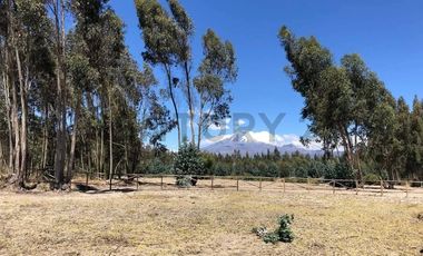 En Venta Terrenos de 5000m2 en la Entrada a Lasso entre Latacunga y Machachi