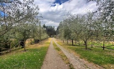 En Venta Terrenos de 5000m2 en la Entrada a Lasso entre Latacunga y Machachi