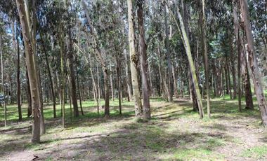 En Venta Terrenos de 5000m2 en la Entrada a Lasso entre Latacunga y Machachi