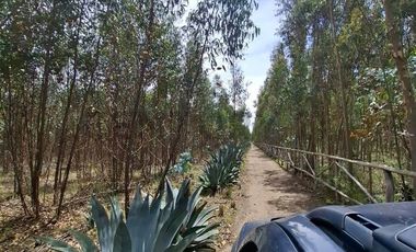 En Venta Terrenos de 5000m2 en la Entrada a Lasso entre Latacunga y Machachi