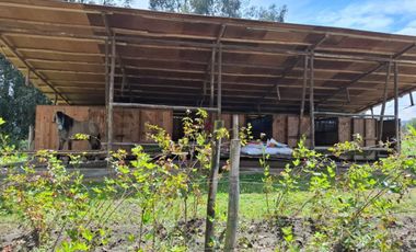 Vendo Casa - Terreno de 20.000m en la Entrada a Lasso entre Latacunga y Machachi