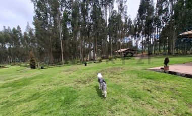 Vendo Casa - Terreno de 20.000m en la Entrada a Lasso entre Latacunga y Machachi
