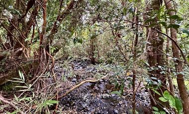 Casa en Venta en Cam. Villarrica Licanray - Carilelfu