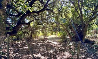 Casa en Venta en Cam. Villarrica Licanray - Carilelfu