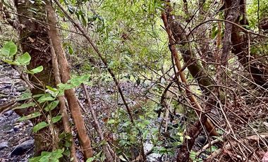 Casa en Venta en Cam. Villarrica Licanray - Carilelfu