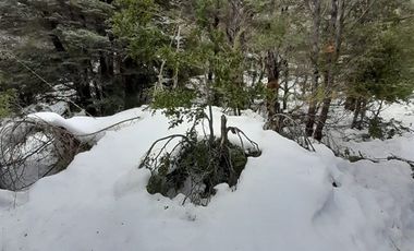 Sitio en Venta en Las Encinas, Las Trancas, Camino a Termas de Chillán