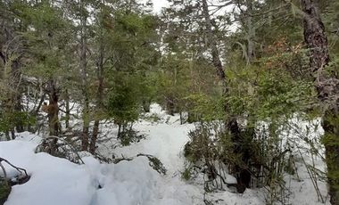 Sitio en Venta en Las Encinas, Las Trancas, Camino a Termas de Chillán