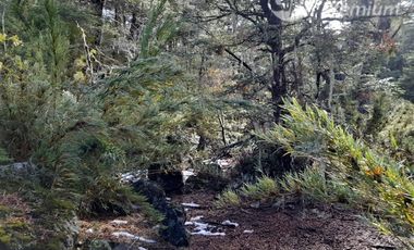 Sitio en Venta en Las Encinas, Las Trancas, Camino a Termas de Chillán
