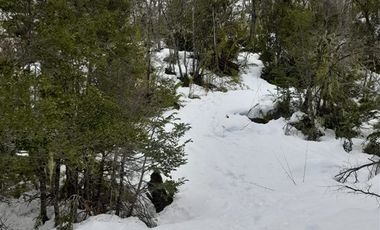Sitio en Venta en Las Encinas, Las Trancas, Camino a Termas de Chillán